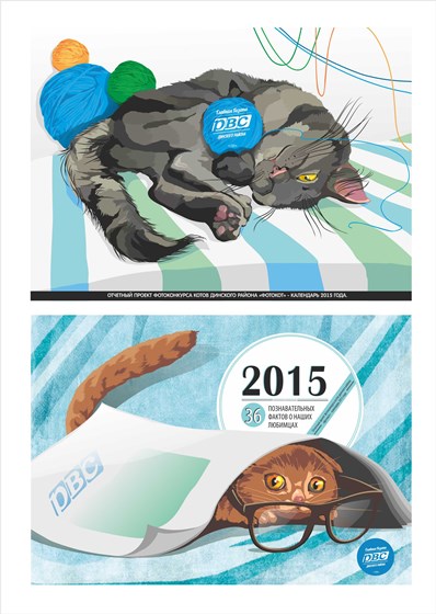 Портфолио: графические работы 